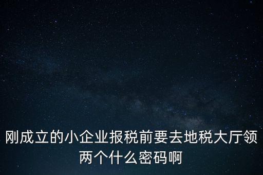 繳稅服務廳口令輸什么，剛成立的小企業報稅前要去地稅大廳領兩個什么密碼啊