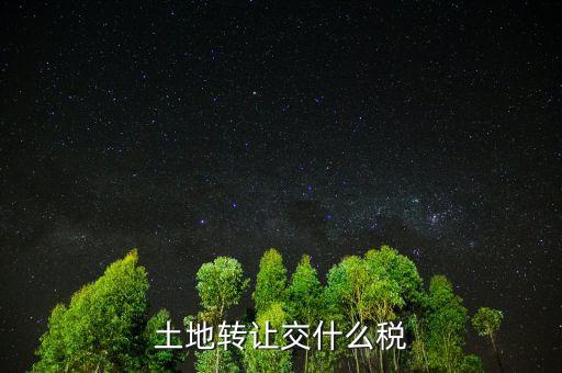 出讓土地交什么稅，土地出讓要交什么稅
