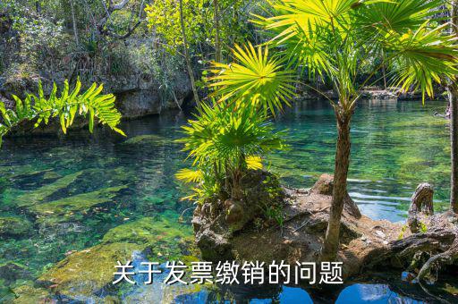 關于發票繳銷的問題