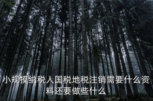 國地稅注銷需要什么，小規摸納稅人國稅地稅注銷需要什么資料還要做些什么