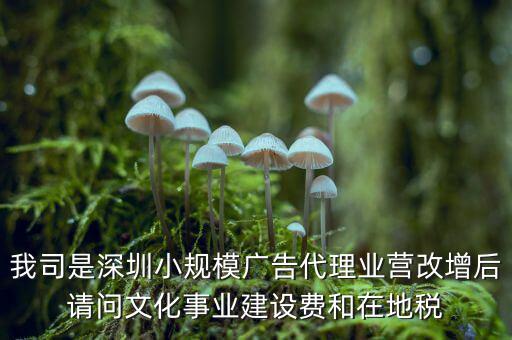 我司是深圳小規模廣告代理業營改增后請問文化事業建設費和在地稅