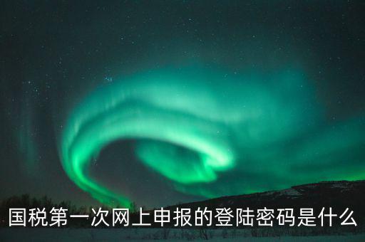 杭州國稅申報(bào)密碼是什么意思，國稅第一次網(wǎng)上申報(bào)的登陸密碼是什么