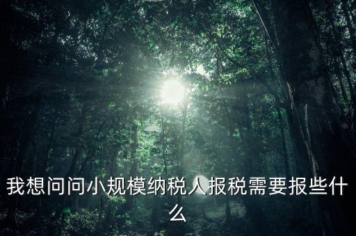 我想問問小規模納稅人報稅需要報些什么
