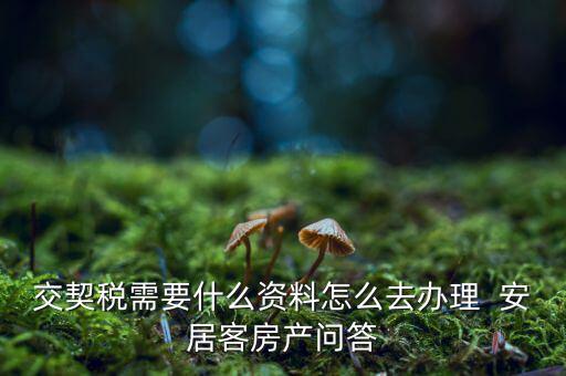 交契稅需要什么資料怎么去辦理  安居客房產問答