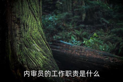 督察內審是什么工作，內審監察主要工作職能