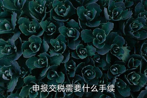 辦理稅務需要什么手續，稅務登記 代辦需要什么手續