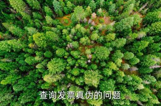 查發票真假為什么，查詢發票真偽的問題