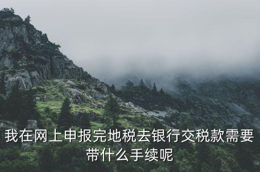 我在網上申報完地稅去銀行交稅款需要帶什么手續呢