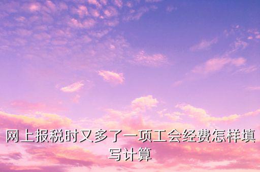 網上報稅時又多了一項工會經費怎樣填寫計算