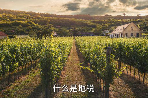 地稅和什么有關，什么是地稅