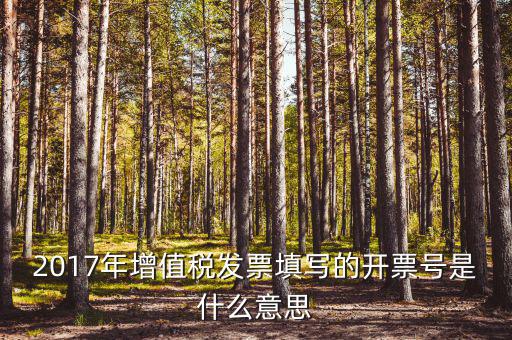 2017年增值稅發票填寫的開票號是什么意思