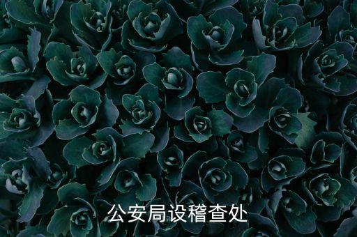 稽查處是什么部門，公安局設稽查處