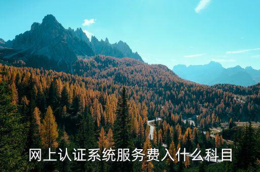 網上認證服務費是什么，網上認證系統服務費入什么科目