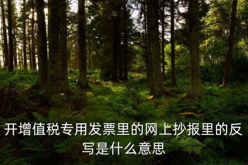 開增值稅專用發票里的網上抄報里的反寫是什么意思