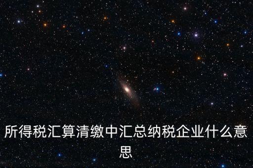 什么匯總納稅企業(yè)所得稅，關(guān)于企業(yè)所得稅匯總繳納