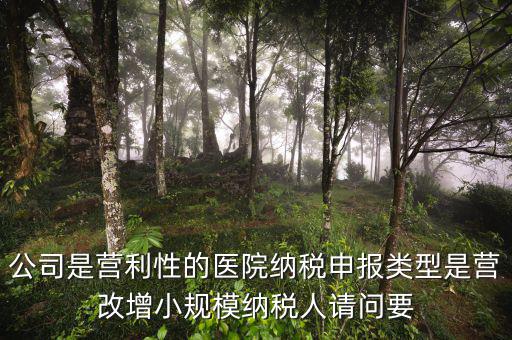 營改增醫院用什么發票，營改增認定的一般納稅人使用什么發票