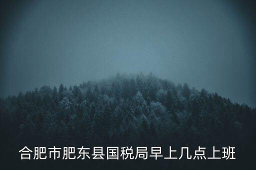 安徽國稅什么時候上班時間，國稅局的上班時間