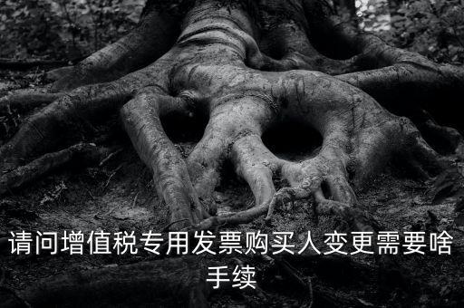 請問增值稅專用發票購買人變更需要啥手續
