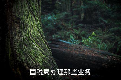 國稅局辦理那些業務