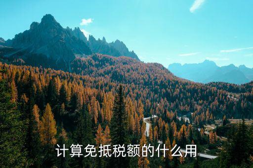 計(jì)算免抵稅額的什么用