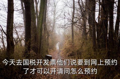 國稅預約的是什么，拿金稅盤去國稅前臺弄要預約嗎