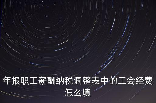 年報職工薪酬納稅調整表中的工會經費怎么填