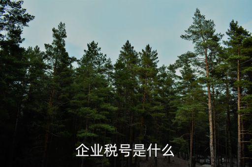 企業稅號是什么