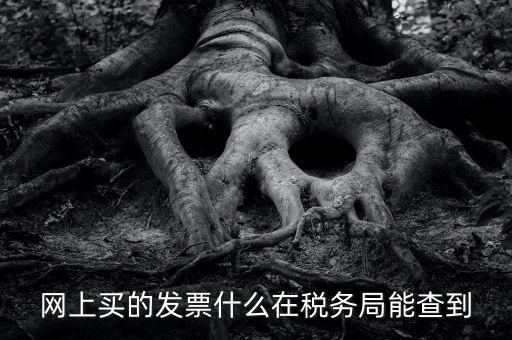 網上查發票能查到什么內容，網上買的發票什么在稅務局能查到