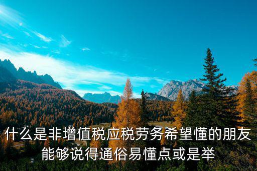 非增值稅應稅勞務什么意思，什么是非增值稅應稅勞務希望懂的朋友能夠說得通俗易懂點或是舉