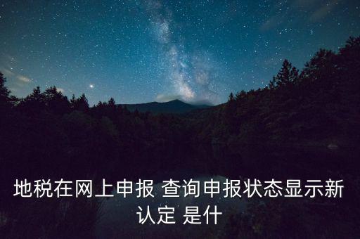 地稅在網上申報 查詢申報狀態顯示新認定 是什