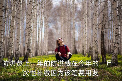 防洪費上一年的防洪費在今年的一月一次性補繳因為該筆費用發