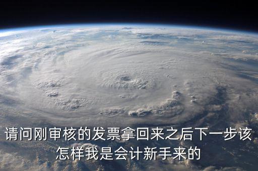 發票核定完之后接下來做什么，請問剛審核的發票拿回來之后下一步該怎樣我是會計新手來的