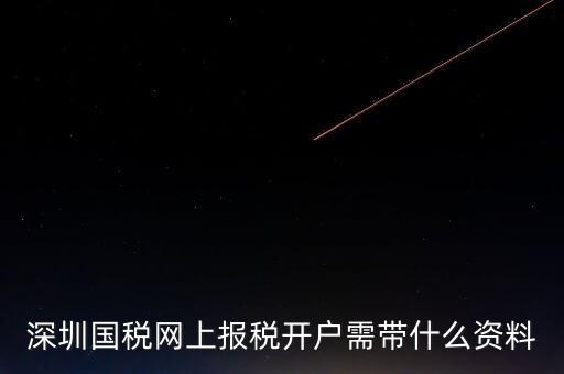 深圳國稅網上報稅開戶需帶什么資料