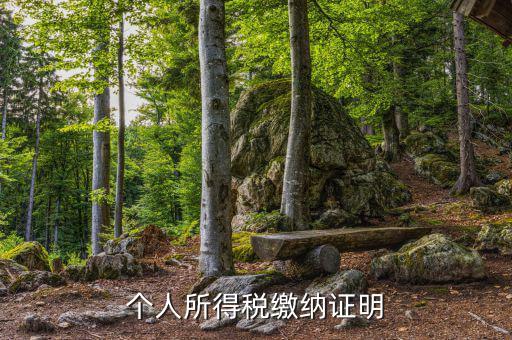 個(gè)人稅務(wù)證明是什么，什么是個(gè)人納稅證明
