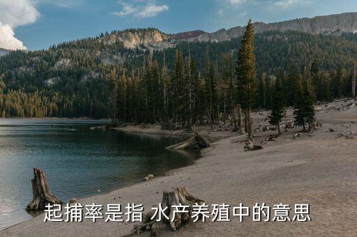 起捕率是指 水產養殖中的意思