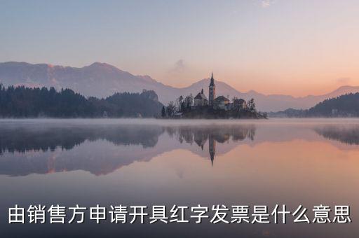 由銷售方申請開具紅字發票是什么意思