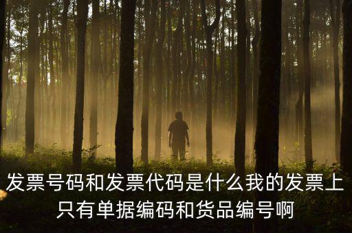 專用發票號碼是什么意思，發票號碼是什么意思