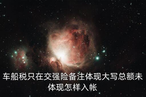 車船稅只在交強(qiáng)險備注體現(xiàn)大寫總額未體現(xiàn)怎樣入帳
