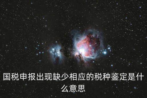 國稅申報出現缺少相應的稅種鑒定是什么意思