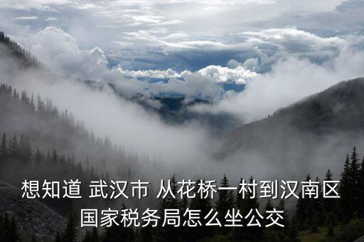 想知道 武漢市 從花橋一村到漢南區國家稅務局怎么坐公交