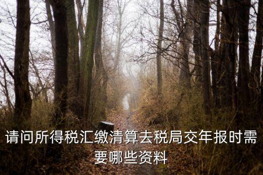 公司稅務(wù)年報(bào)需要什么，問(wèn)企業(yè)所得稅年報(bào)怎么報(bào)需要什么資料
