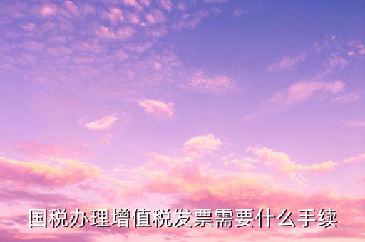 國稅辦理增值稅發票需要什么手續