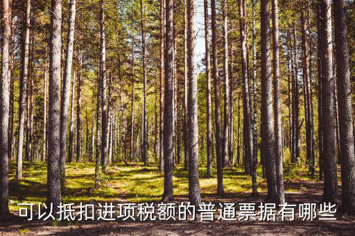 可以抵扣進項稅額的普通票據有哪些