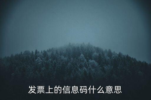 發票上的信息碼什么意思