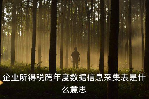 企業所得稅跨年度數據信息采集表是什么意思