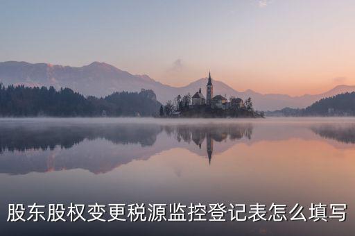 股東股權變更稅源監控登記表怎么填寫