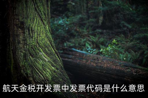 增值稅的航天編碼是什么，航天金稅 自動開票 怎么獲取 發票代碼 發票號碼