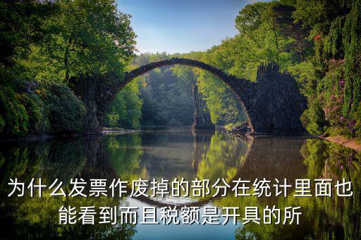 為什么發票作廢掉的部分在統計里面也能看到而且稅額是開具的所
