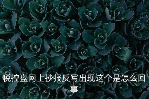 稅控盤網上抄報反寫出現這個是怎么回事