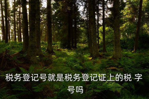 稅務登記證是什么字體，稅務登記證上的這是什么字體